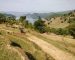 Race Recap: Wild Warrior Himalayan Rush 2018