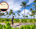 The Ultimate Triathlon and Duathlon Bucket List: Asia’s Best Races