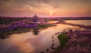 Challenge Family Expands Global Calendar with New Coastal Race in Shanghai